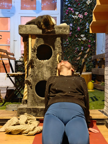 Katten yoga - inschrijven via kattencafé B'aristo kat - €19,90