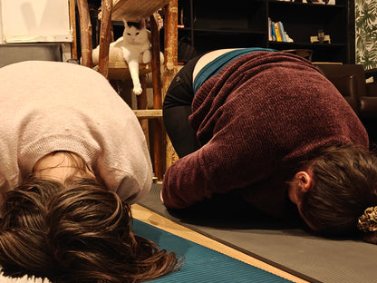 Katten yoga - inschrijven via kattencafé B'aristo kat - €19,90