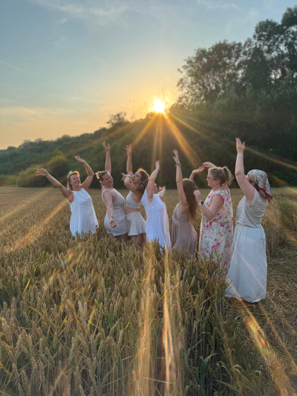 Lily Community